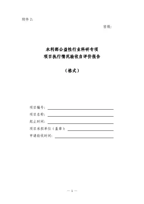 项目执行情况验收自评价报告