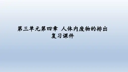 济南版生物七年级下册：第三单元 第四章 人体内废物的排出  复习课件