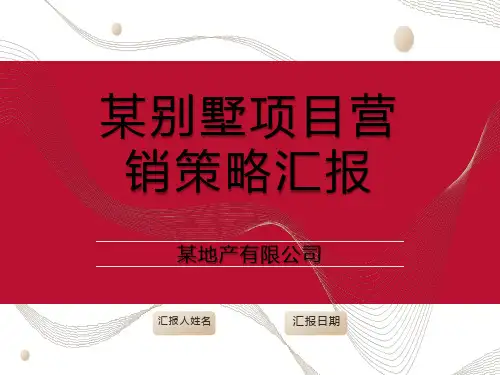 某别墅项目营销策略汇报