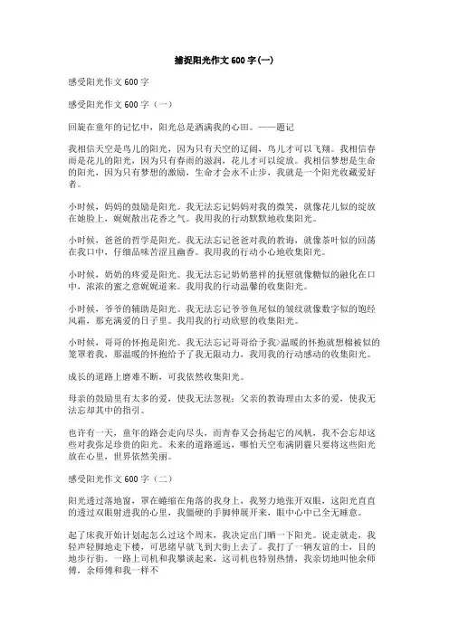 捕捉阳光作文600字