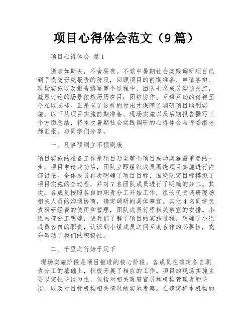 项目心得体会范文(9篇)