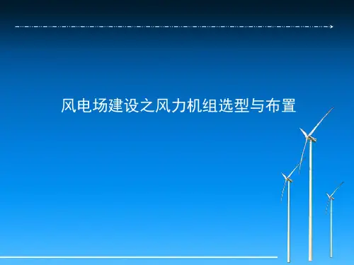 风电机组选型与布置