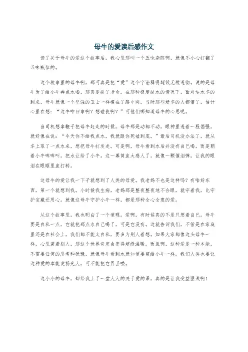 母牛的爱读后感作文