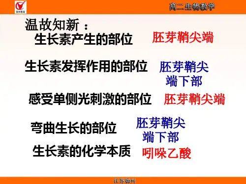 概述生长素的极性运输