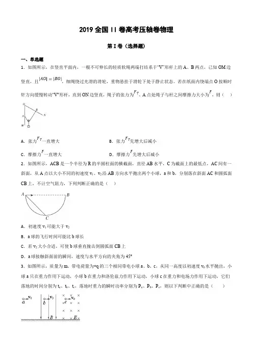  【全国卷Ⅱ】2019年高考终极压轴卷：物理试题(含答案解析)