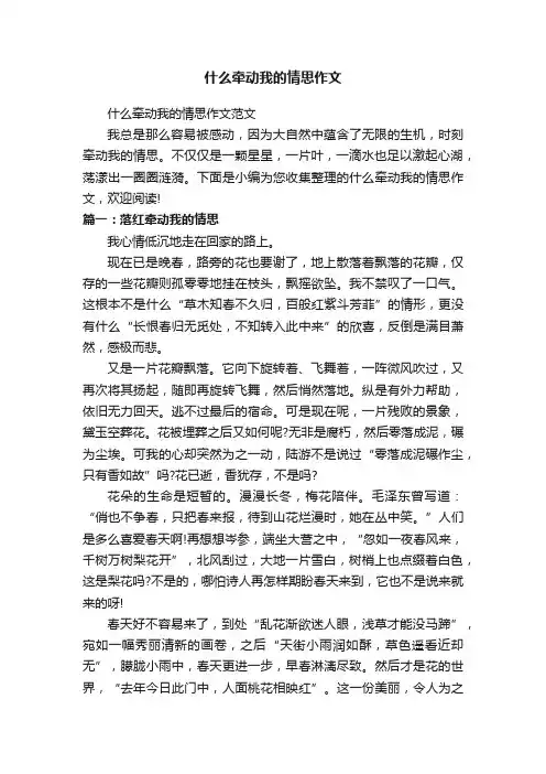 什么牵动我的情思作文