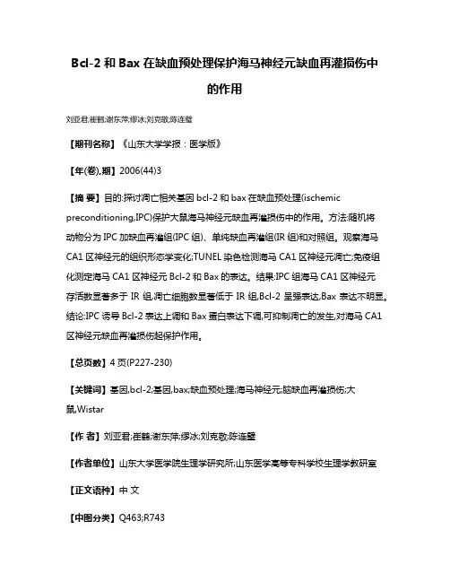 Bcl-2和Bax在缺血预处理保护海马神经元缺血再灌损伤中的作用