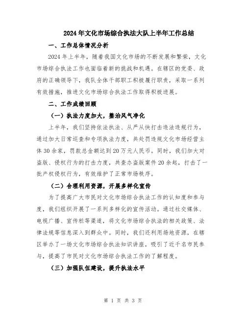 2024年文化市场综合执法大队上半年工作总结