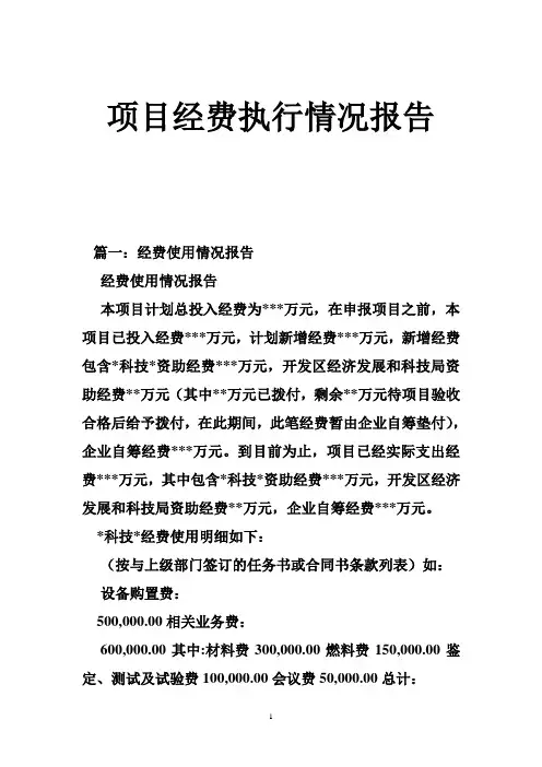 项目经费执行情况报告