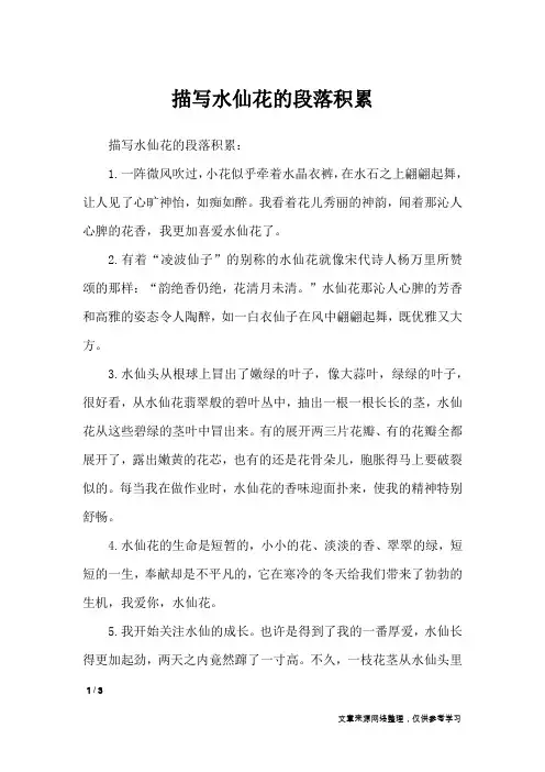 描写水仙花的段落积累_作文素材