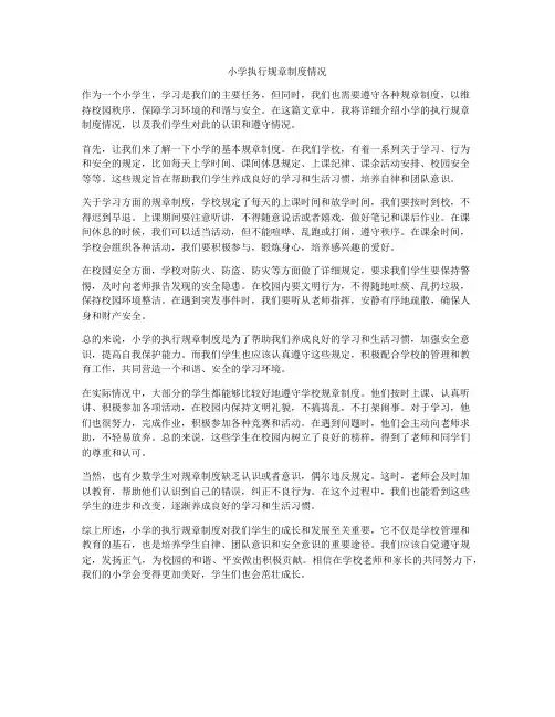 小学执行规章制度情况