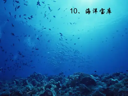 粤教六年级科学-海洋宝库)