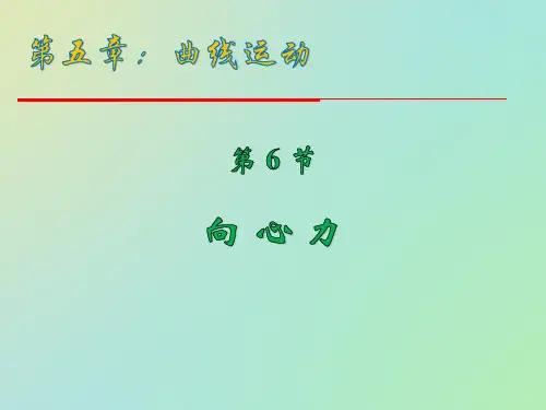 人教版高中物理必修二5.6 向心力(共22张PPT)优质课件