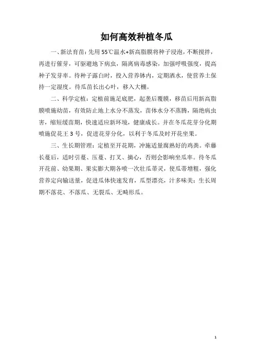 如何高效种植冬瓜