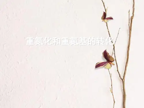 重氮化和重氮基的转化