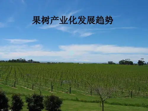 果树产业化发展趋势_PPT课件