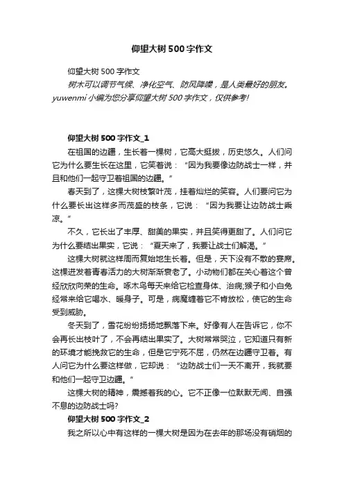 仰望大树500字作文