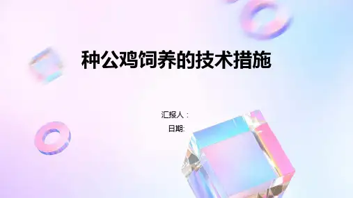 种公鸡饲养的技术措施