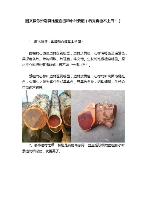 图文教你辨别赞比亚血檀和小叶紫檀（看完再也不上当！）