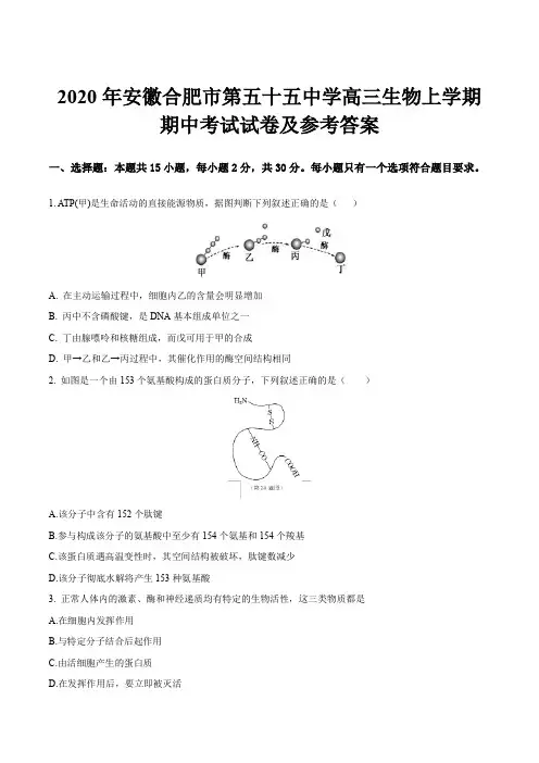 2020年安徽合肥市第五十五中学高三生物上学期期中考试试卷及参考答案