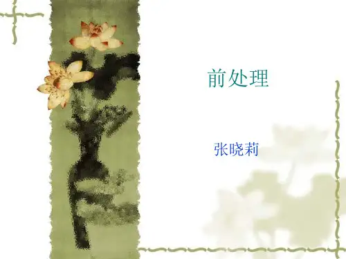 退煮漂前处理