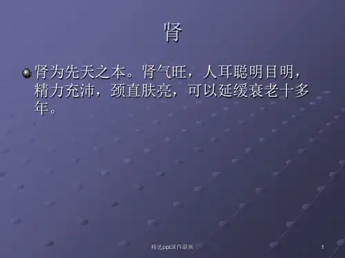 五脏调养平衡ppt课件