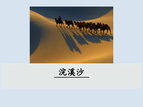 部编人教版九年级下-纳兰性德《浣溪沙》(身向云山那畔行)优质课件