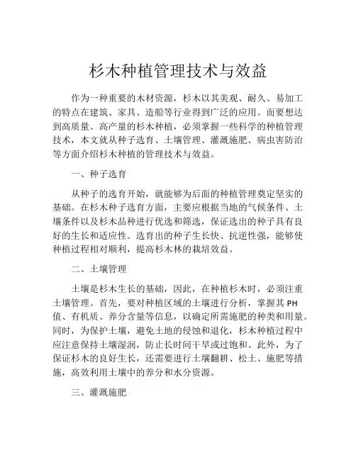 杉木种植管理技术与效益