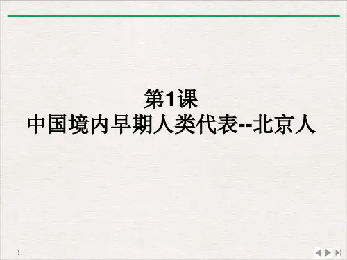部编七年级历史上册中国境内早期人类代表-北京人