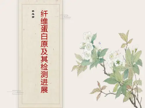 纤维蛋白原的检测方法及进展