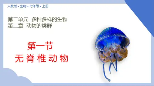 第一节无脊椎动物课件2024-2025学年人教版生物七年级上册