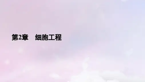 高中生物第2章细胞工程第2节动物细胞工程1动物细胞培养新人教版选择性必修3