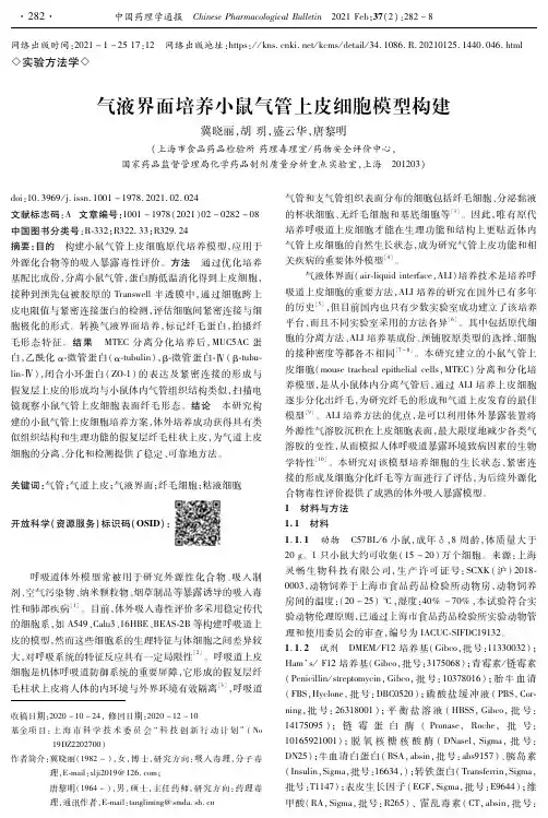 气液界面培养小鼠气管上皮细胞模型构建
