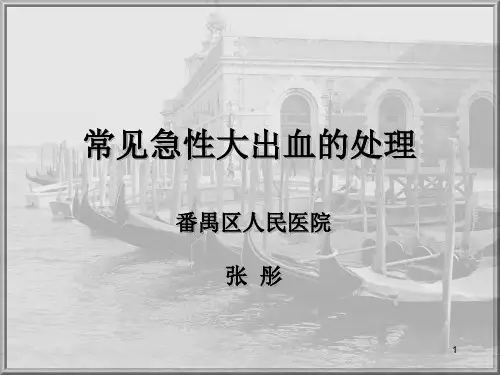 各种急性大出血的处理演示课件.ppt