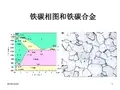 铁碳相图和铁碳合金(白底+简化)资料