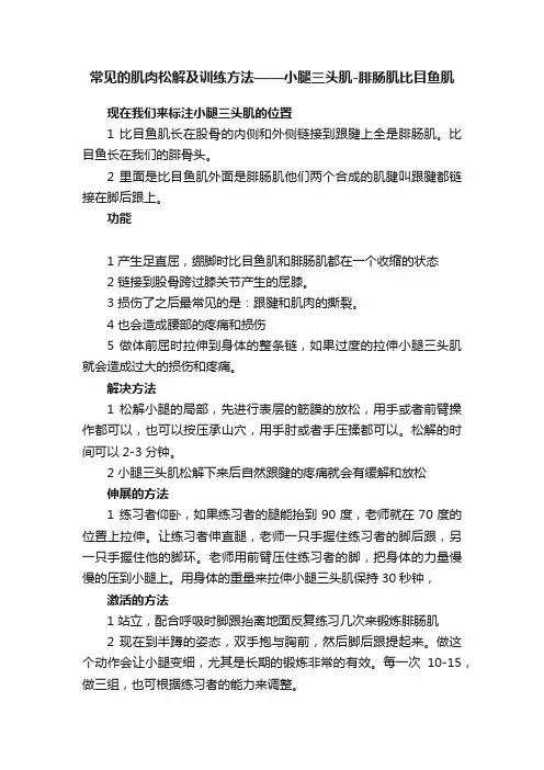 常见的肌肉松解及训练方法——小腿三头肌-腓肠肌比目鱼肌