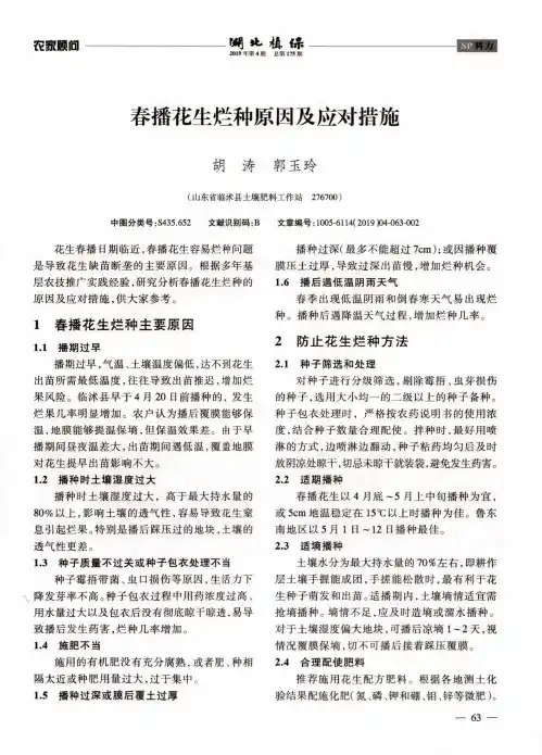 春播花生烂种原因及应对措施