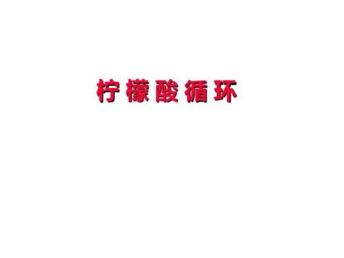 三羧酸循环体系