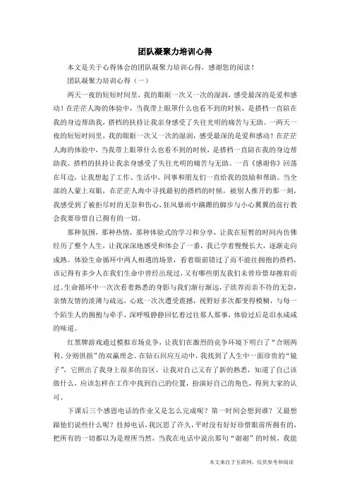 团队凝聚力培训心得_心得体会