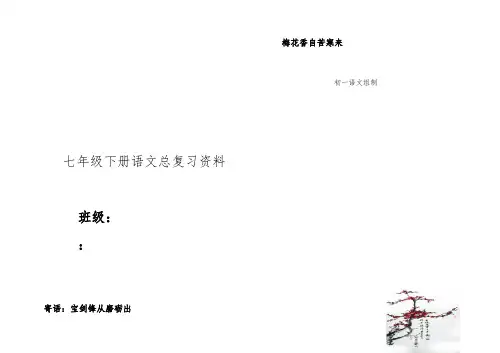 人教版七年级下册语文总复习资料(大全) 2