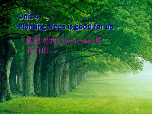 六年级英语下册Unit4《Plantingtreesisgoodforus》课件5(新版)湘少版