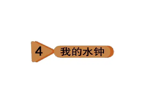 五年级下册科学课件  4、我的水钟   教科版  共8张
