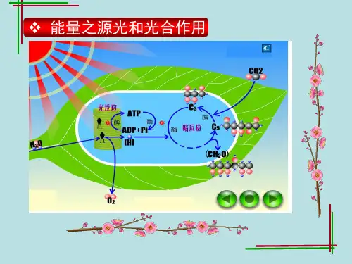 光照强度和二氧化碳浓度