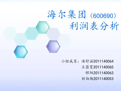 海尔集团l 利润表财务分析