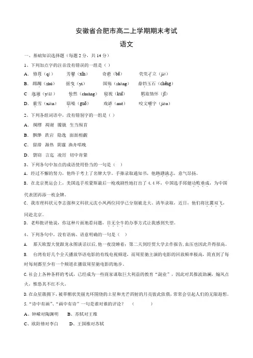 安徽省合肥市高二上学期期末考试(语文)