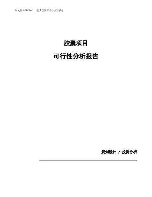 胶囊项目可行性分析报告(模板参考范文)