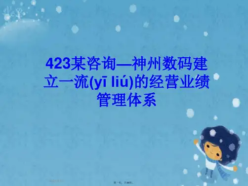 423某咨询—神州数码建立一流的经营业绩管理体系