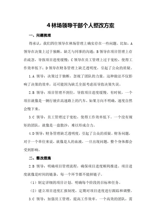 林场领导干部个人整改方案