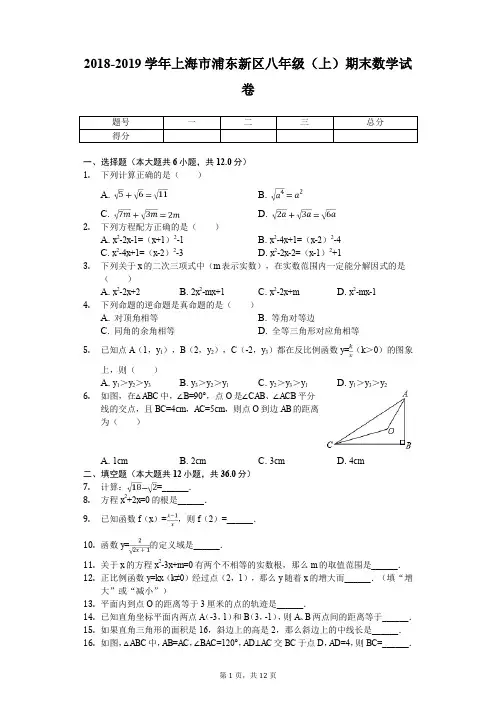 2018-2019学年上海市浦东新区八年级(上)期末数学试卷