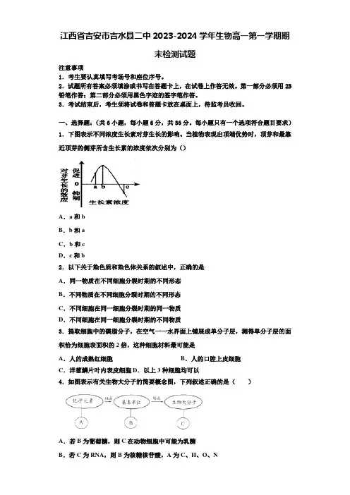 江西省吉安市吉水县二中2023-2024学年生物高一第一学期期末检测试题含解析